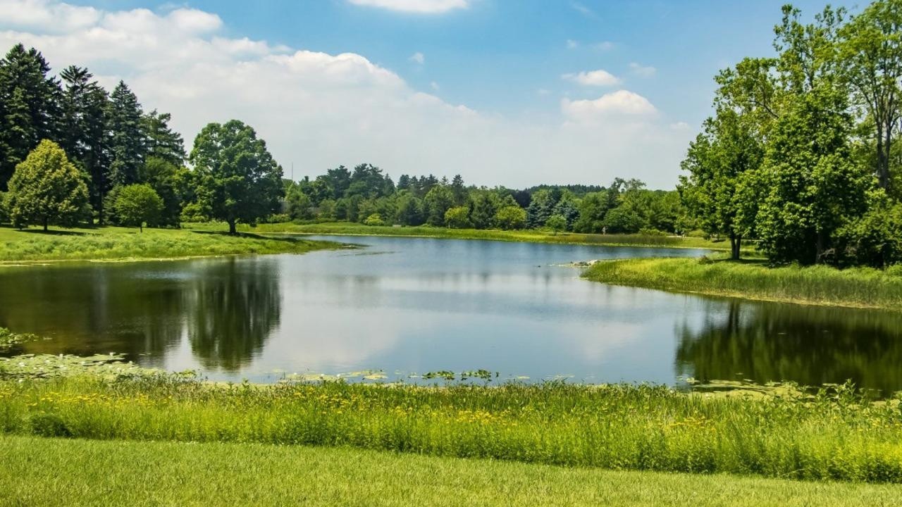 Жара до +34°С и дожди с грозами – чего ждать от погоды в Беларуси 