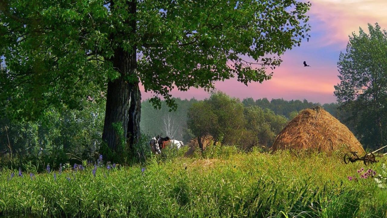 Резкое похолодание, дожди и грозы – прогноз погоды в Беларуси на 3 дня