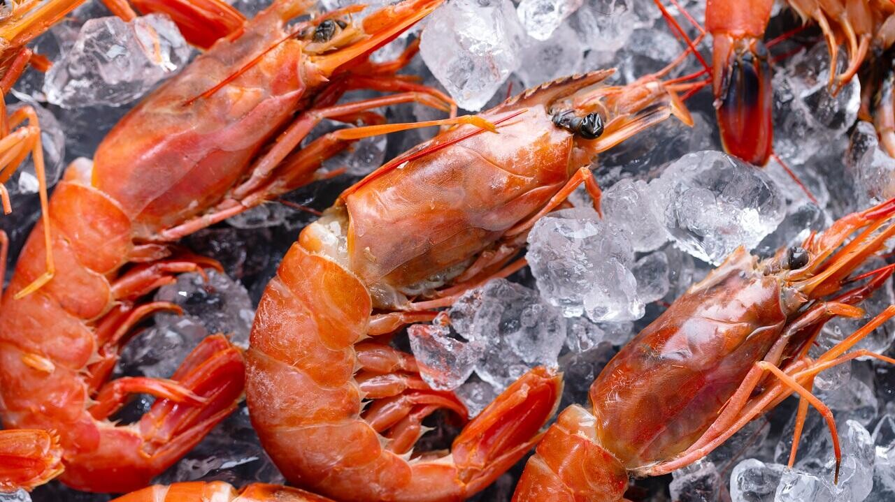 Таможня вскрыла схему ввоза в Беларусь морепродуктов по поддельным сертификатам