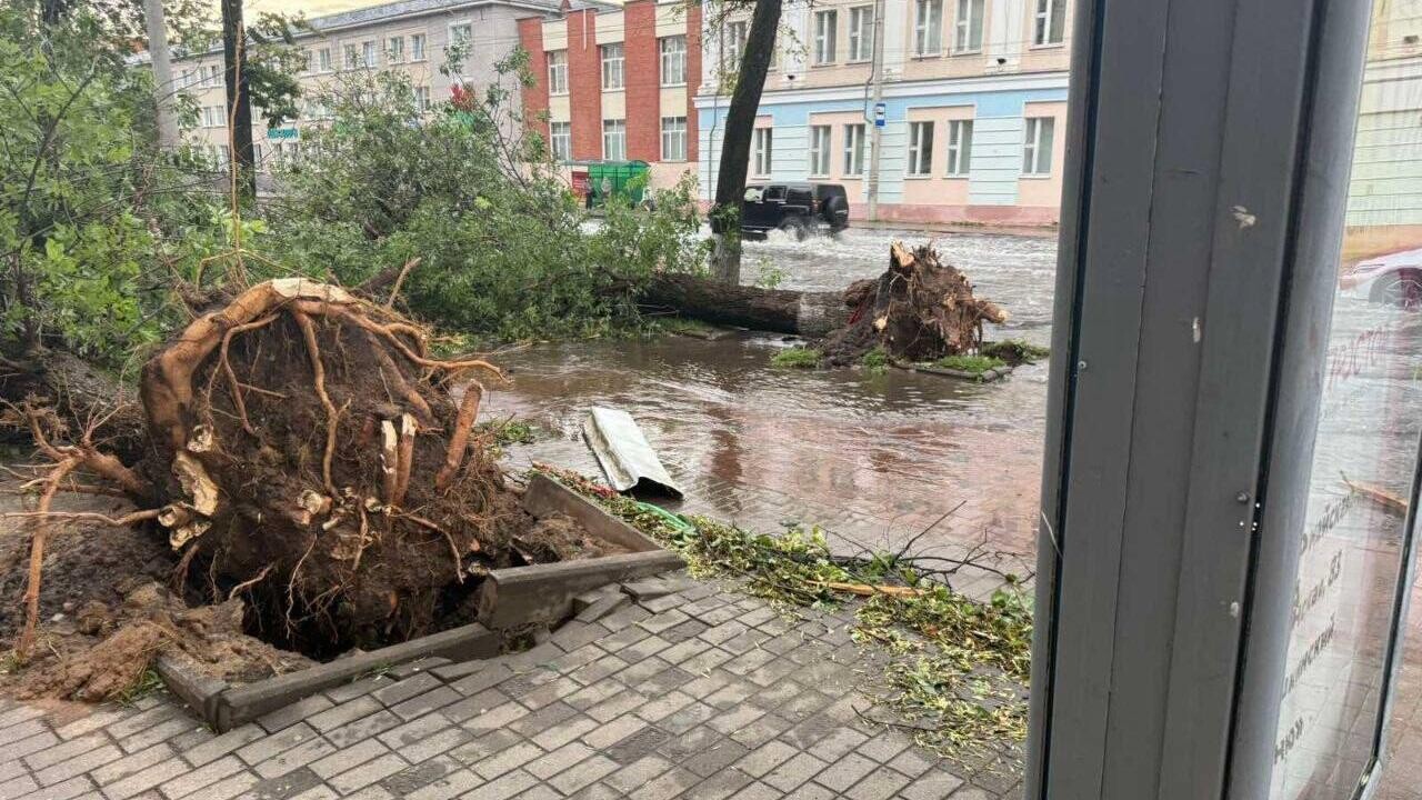 Гроза и шквалистый ветер оставили без света десятки населенных пунктов Беларуси