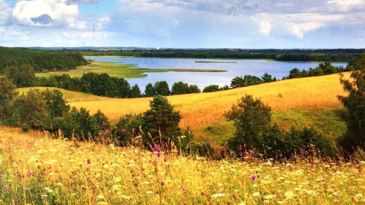 Идет похолодание, ожидаются дожди с грозами – прогноз погоды в Минске и регионах на 3 дня