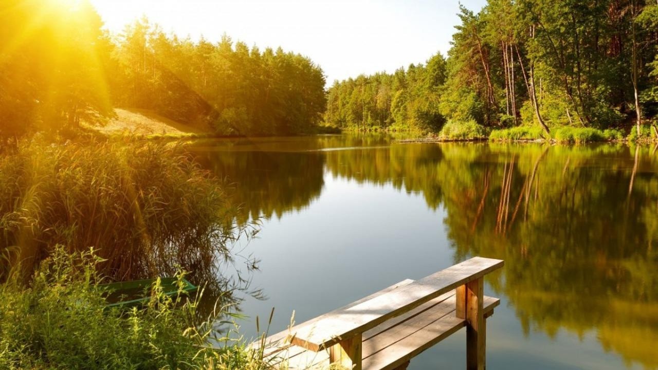 До +28°С и будут дожди с грозами – смотрим прогноз погоды по Беларуси на 3 дня