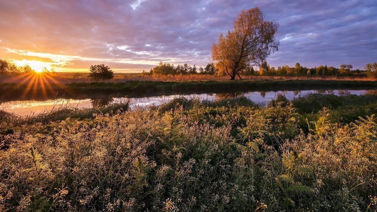 Будет жарко и возможны дожди – прогноз погоды в Минске и регионах на 3 дня​
