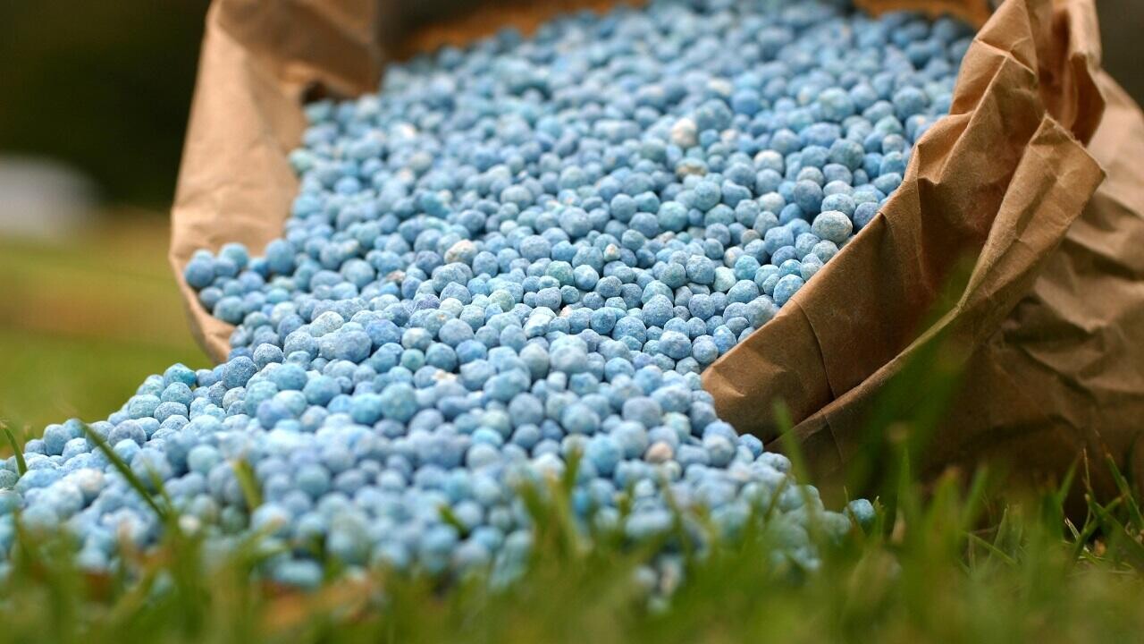 ЕС вводит новые пошлины на сельхозпродукцию и удобрения из России и Беларуси