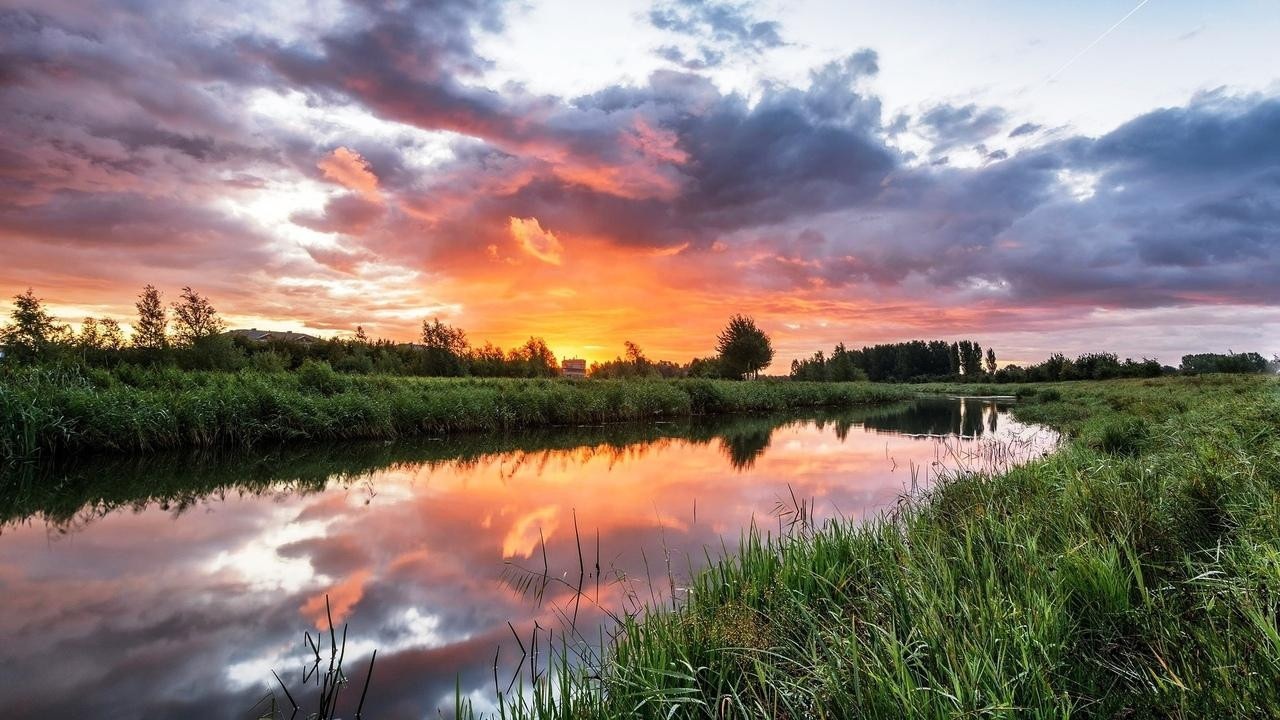 Жары не будет, ожидаются дожди – прогноз погоды в Минске и регионах на 3 дня