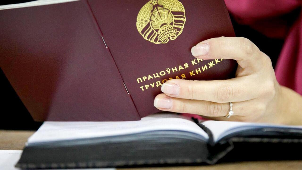 Не знал, где находится офис. Прокуратура уличила выпускника в фиктивном трудоустройстве