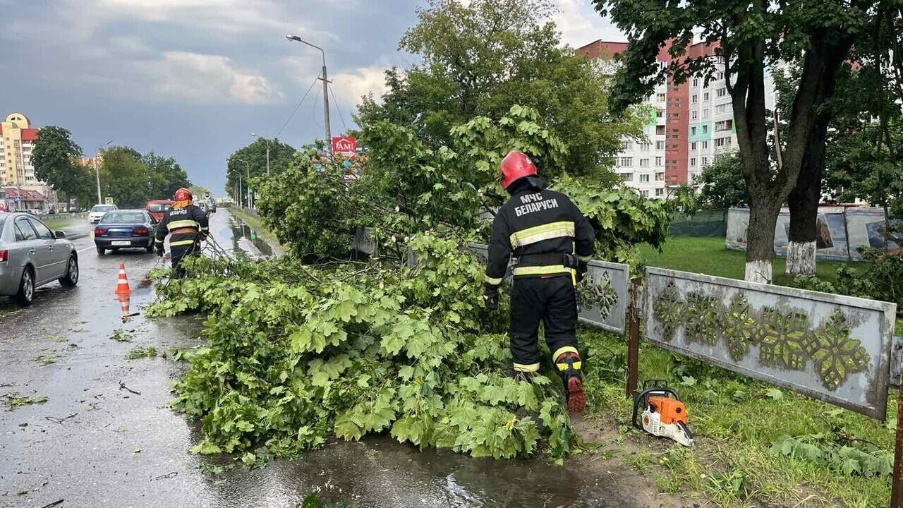 Поваленные деревья, сорванные крыши: последствия непогоды в Беларуси – фото