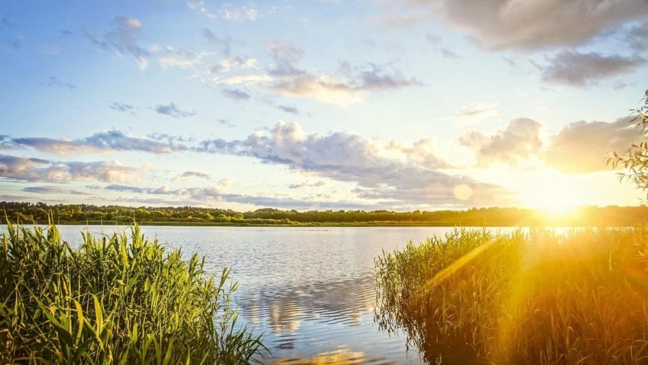 Жара усилится до +35°С – прогноз погоды по Беларуси на 3 дня