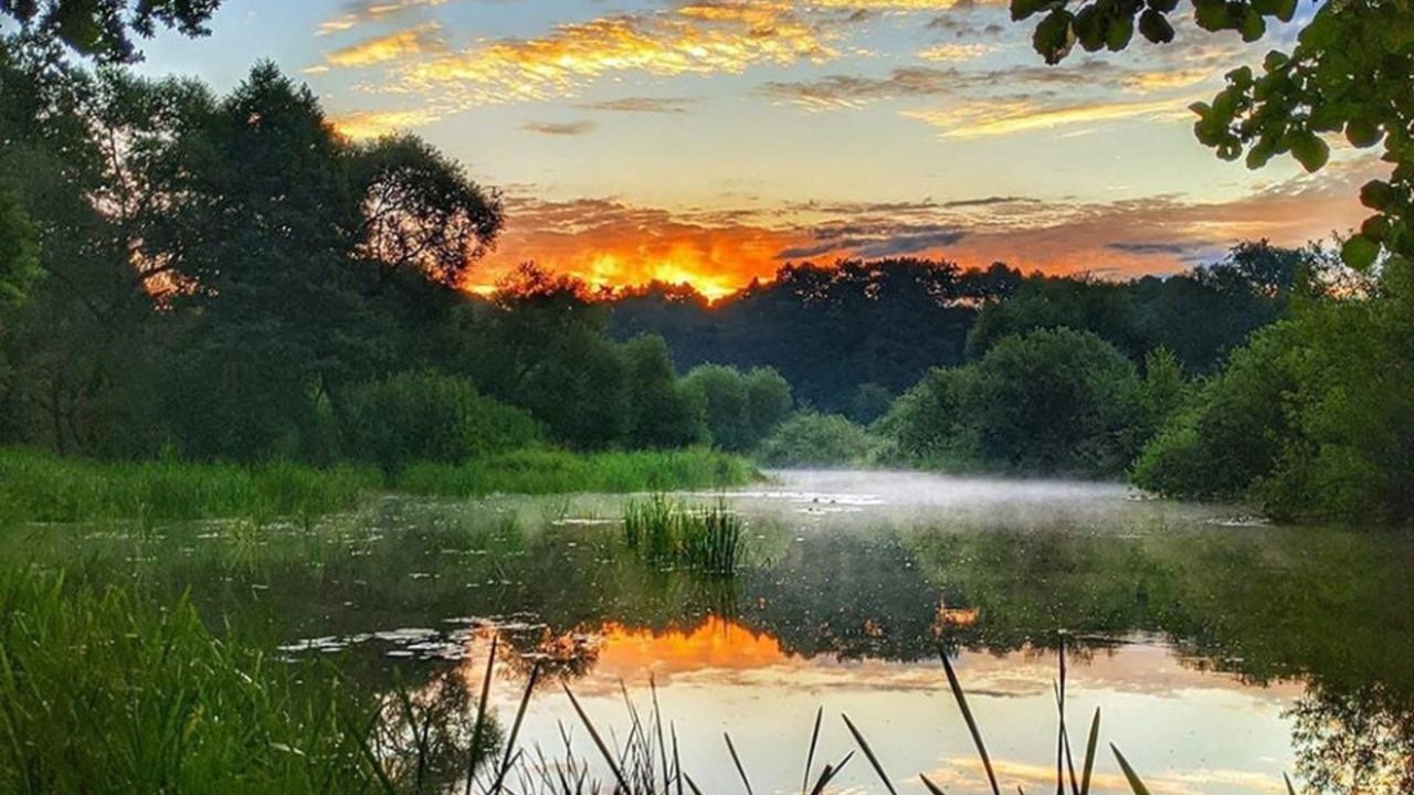 Жара спадет и пройдут дожди – прогноз погоды в Минске и регионах на 3 дня​