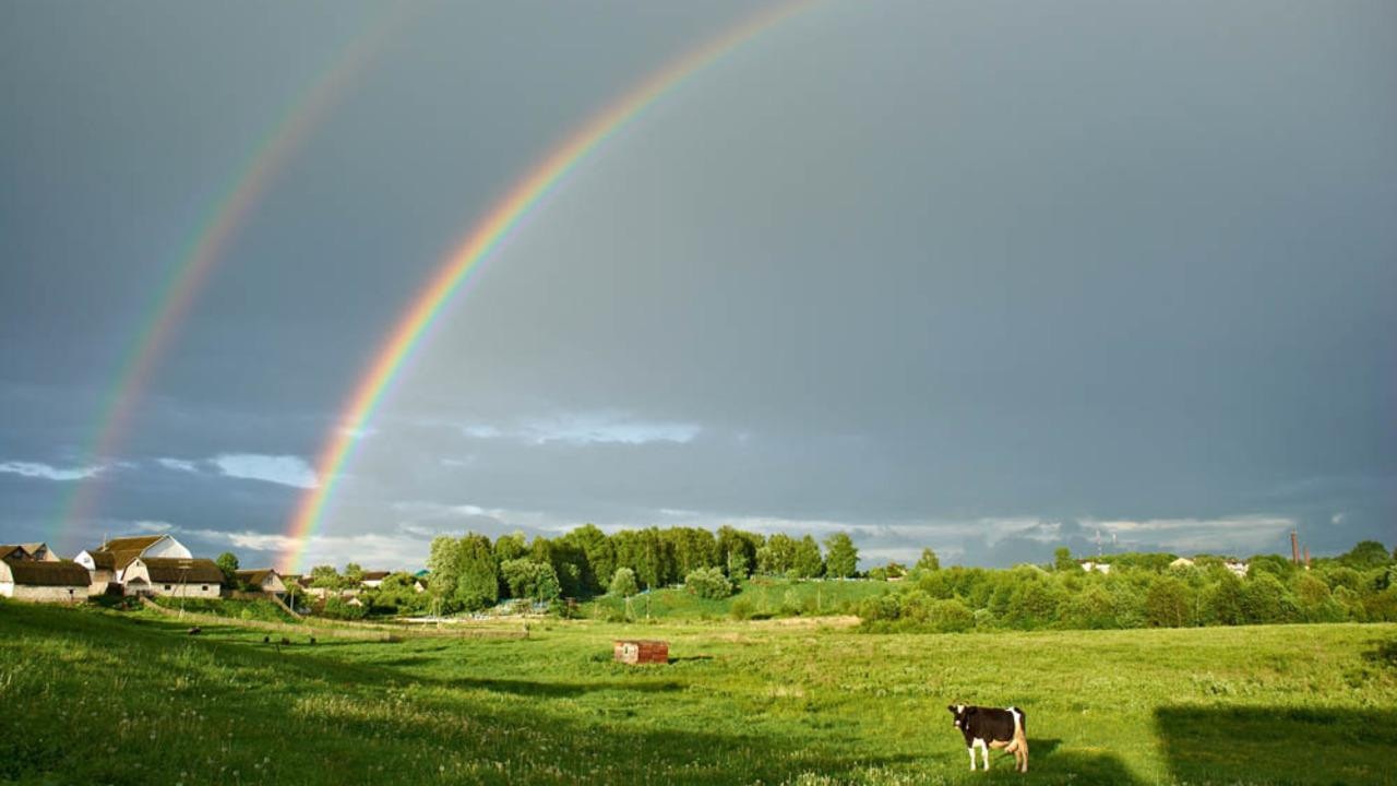 Обещают до +30°С – прогноз погоды в столице и регионах на 3 дня​