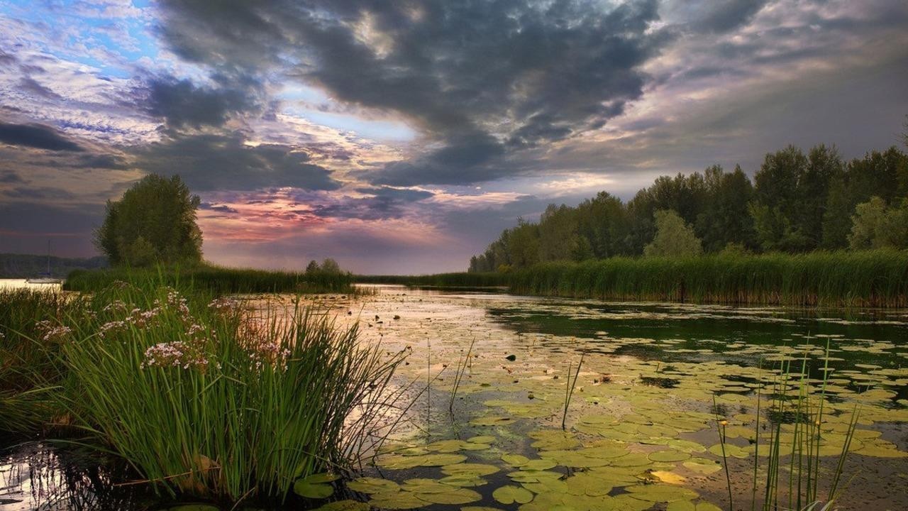  Жара до +29°С, дожди и грозы – прогноз погоды по Беларуси на 3 дня