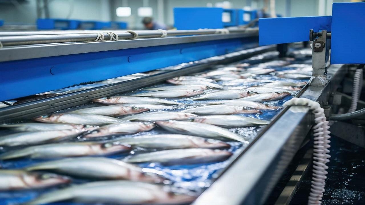 Прибыль рыбопереработчиков России опустилась до минимума за пять лет. В чем причина?