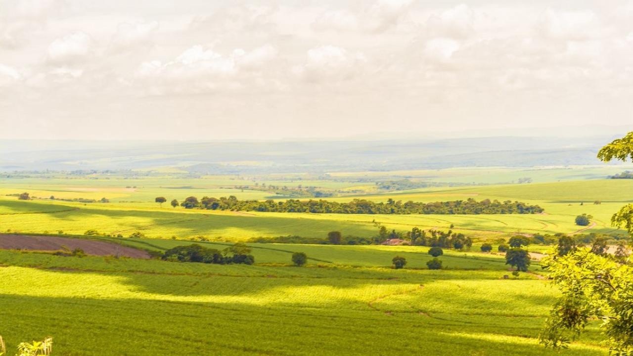 Будет ли жара в начале августа – прогноз погоды в Минске и регионах на 3 дня