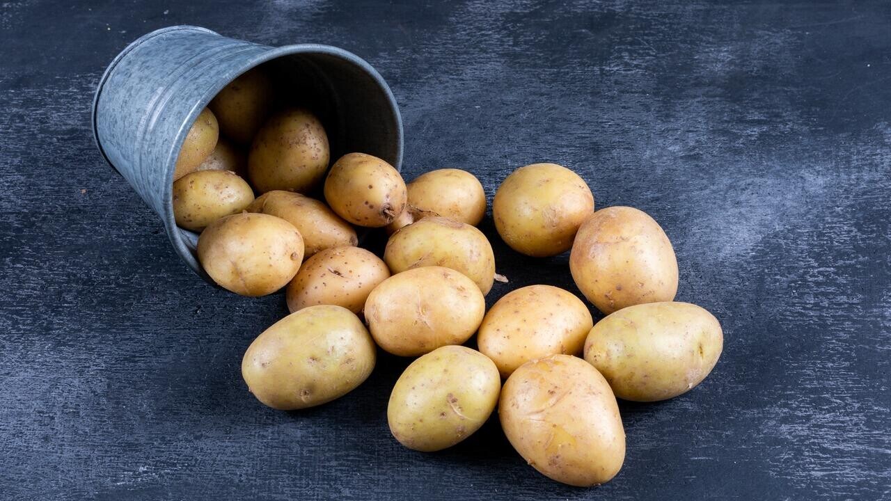 Беларусь сняла запрет на ввоз продукции из недружественных стран. Что в списке?