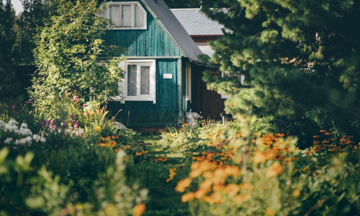 «Желающих обзавестись дачей с каждым годом все больше». Какие дома покупают белорусы и за сколько?