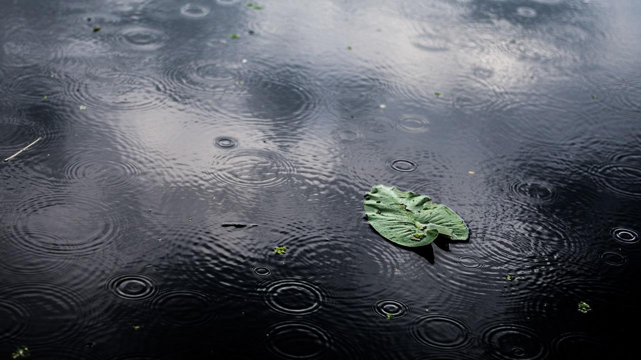 В четверг в Беларуси опять ждут сильный ветер и ливни – объявлен оранжевый уровень опасности