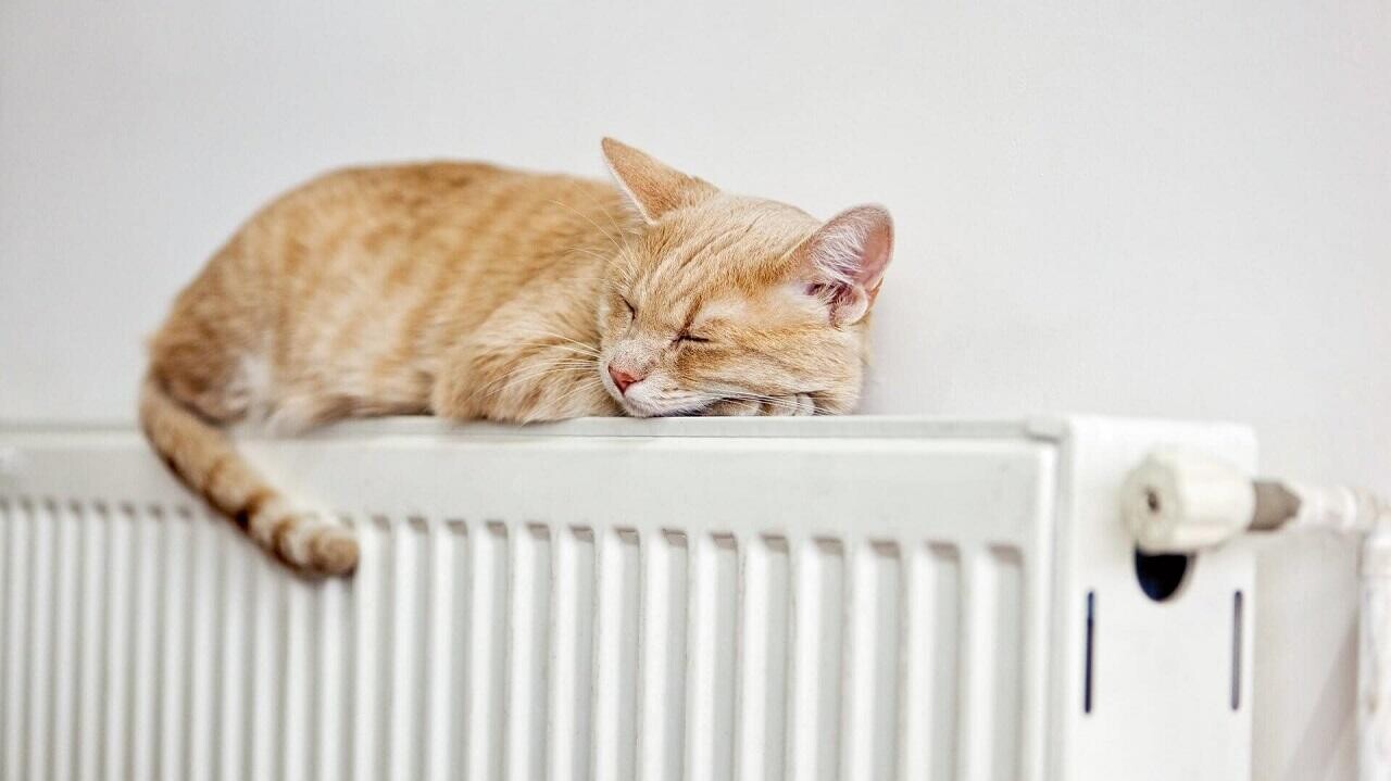 Стало известно, когда в квартирах гомельчан включат отопление