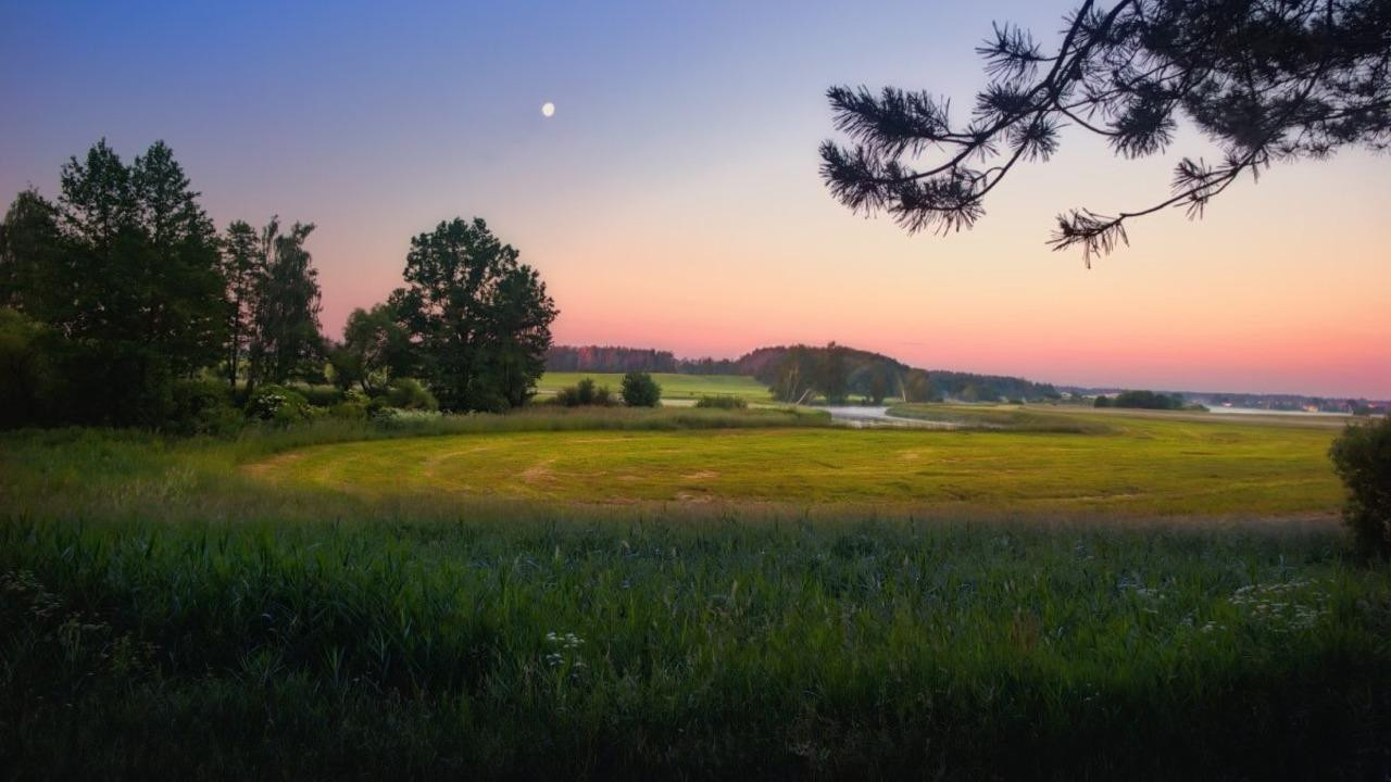 Дожди и жара до +29 градусов – прогноз погоды в столице и регионах на 3 дня​