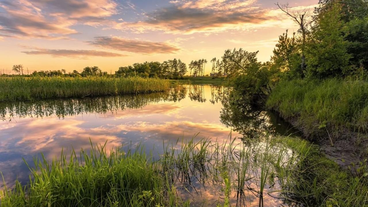 Обещают дожди и около +25 градусов – прогноз погоды в столице и регионах на 3 дня