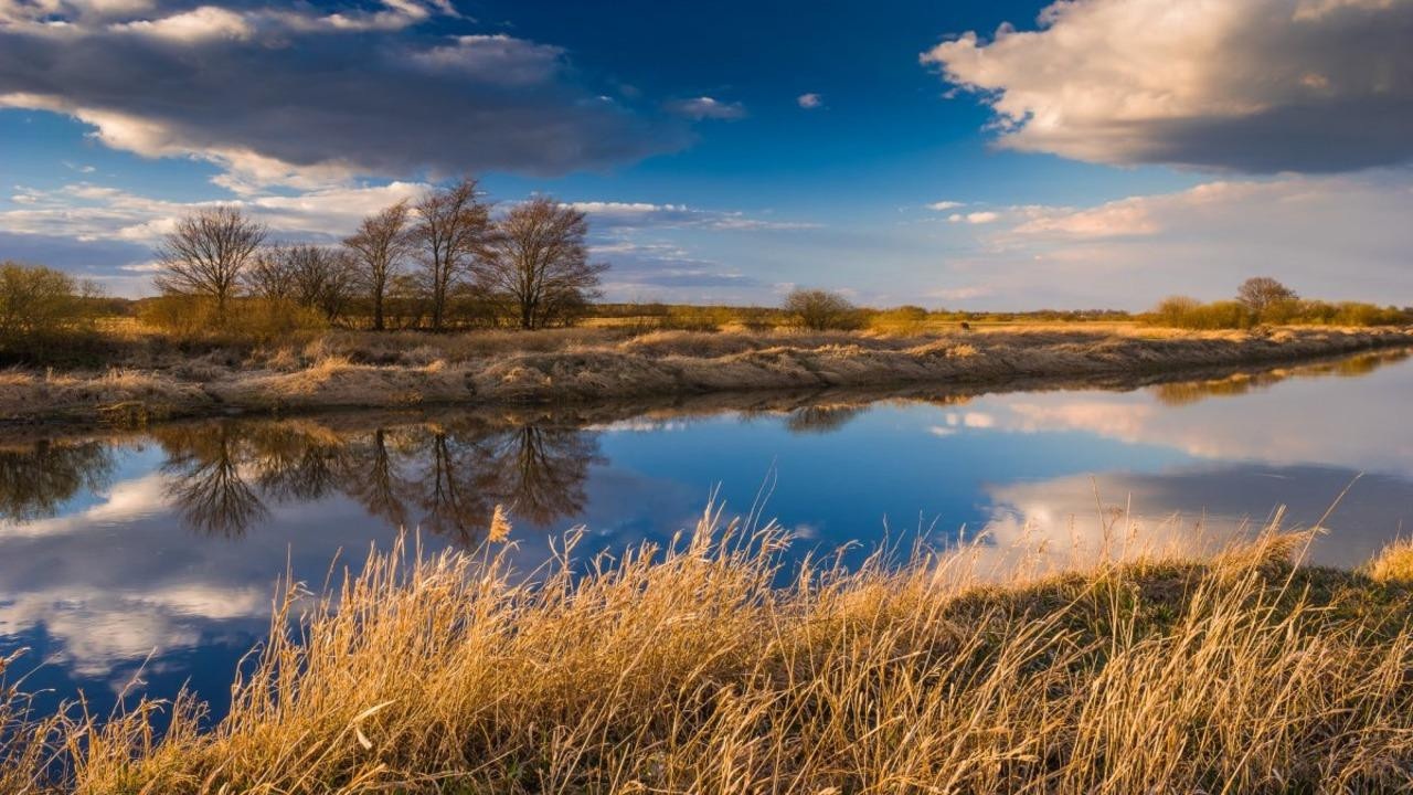 Насколько похолодает в Минске и областных центрах – смотрим прогноз на 3 дня