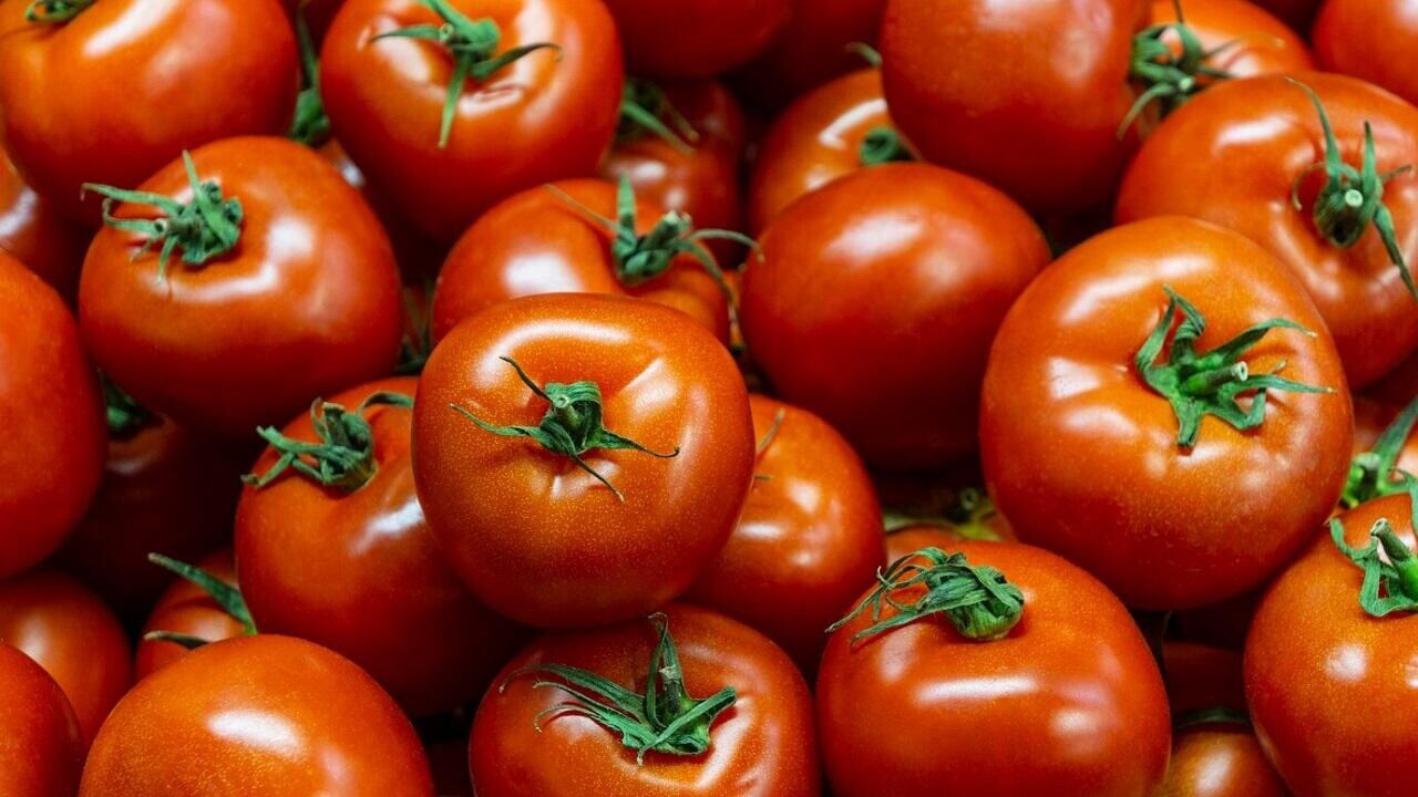 «ДОРОРС» строит цветочный комплекс и наращивает производство томатов и ягод