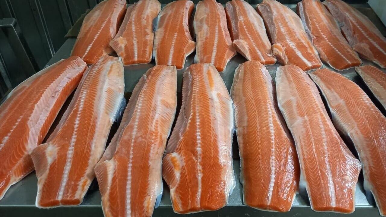 Российские таможенники пресекли контрабанду лосося – рыбу везли из Беларуси