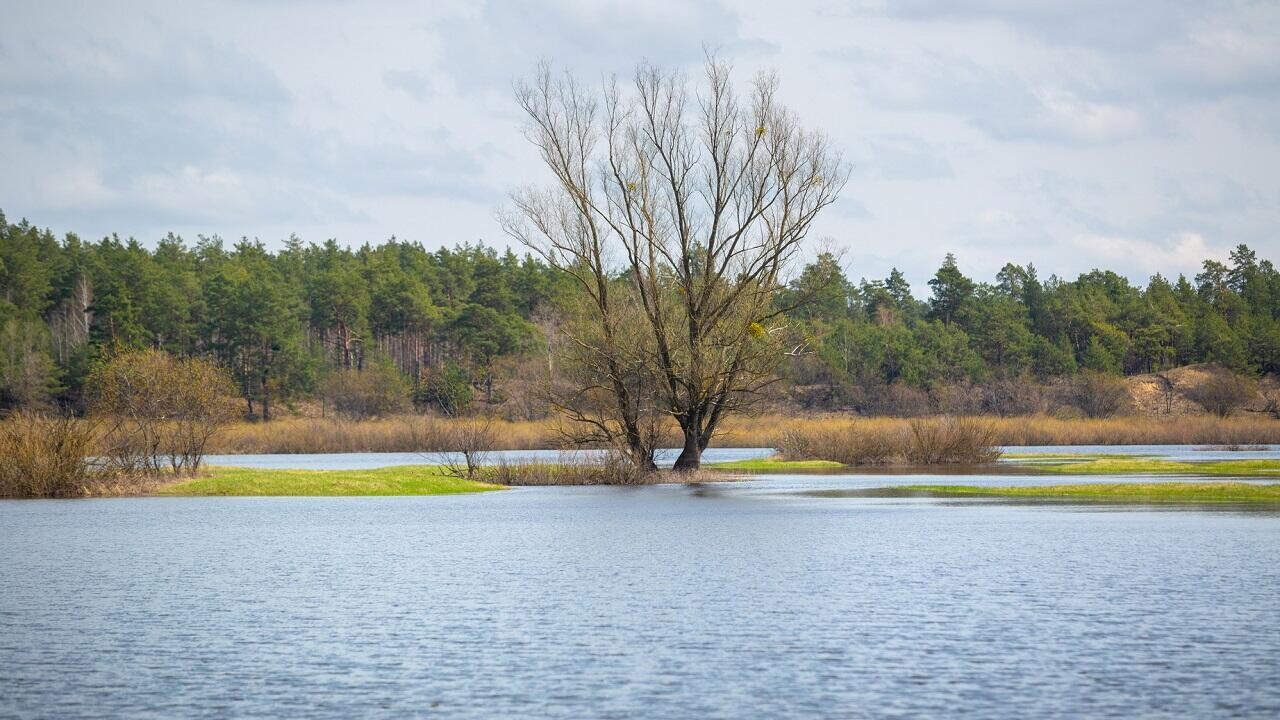В Беларуси ожидается высокое половодье. Где готовиться к подтоплениям?