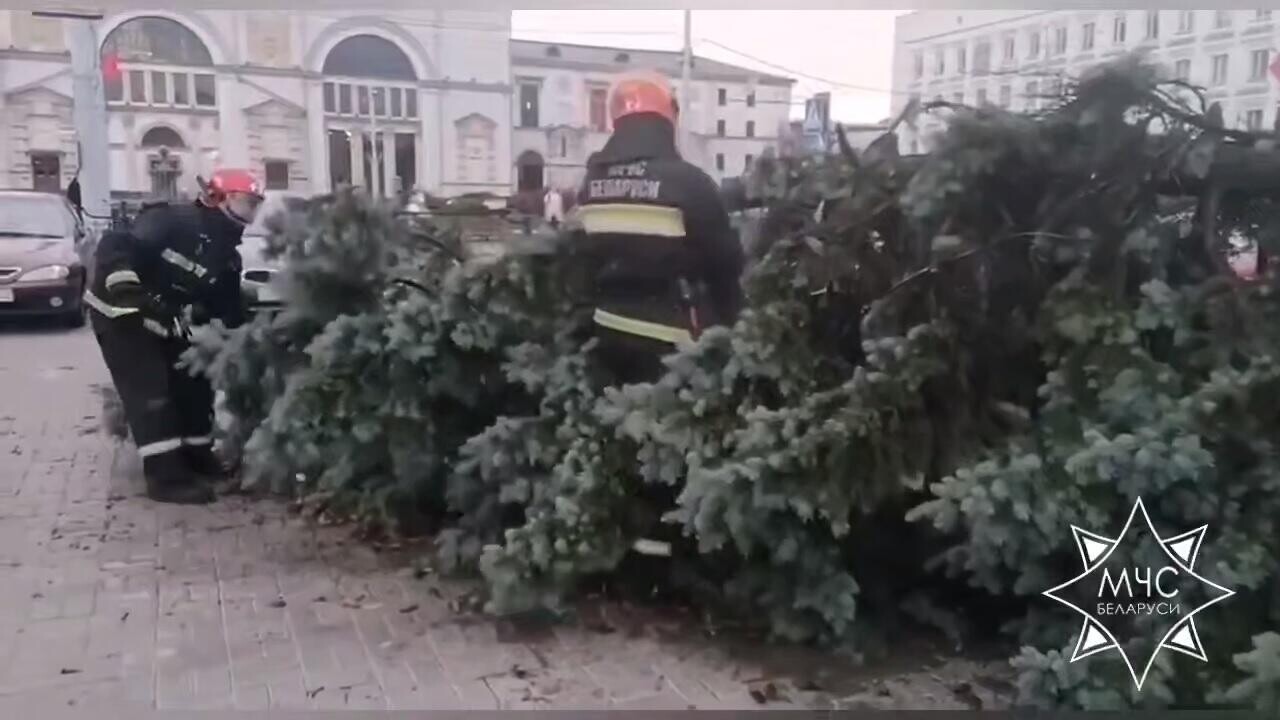 Десятки упавших деревьев и подтопления: на Витебск и Гомель обрушилась непогода 