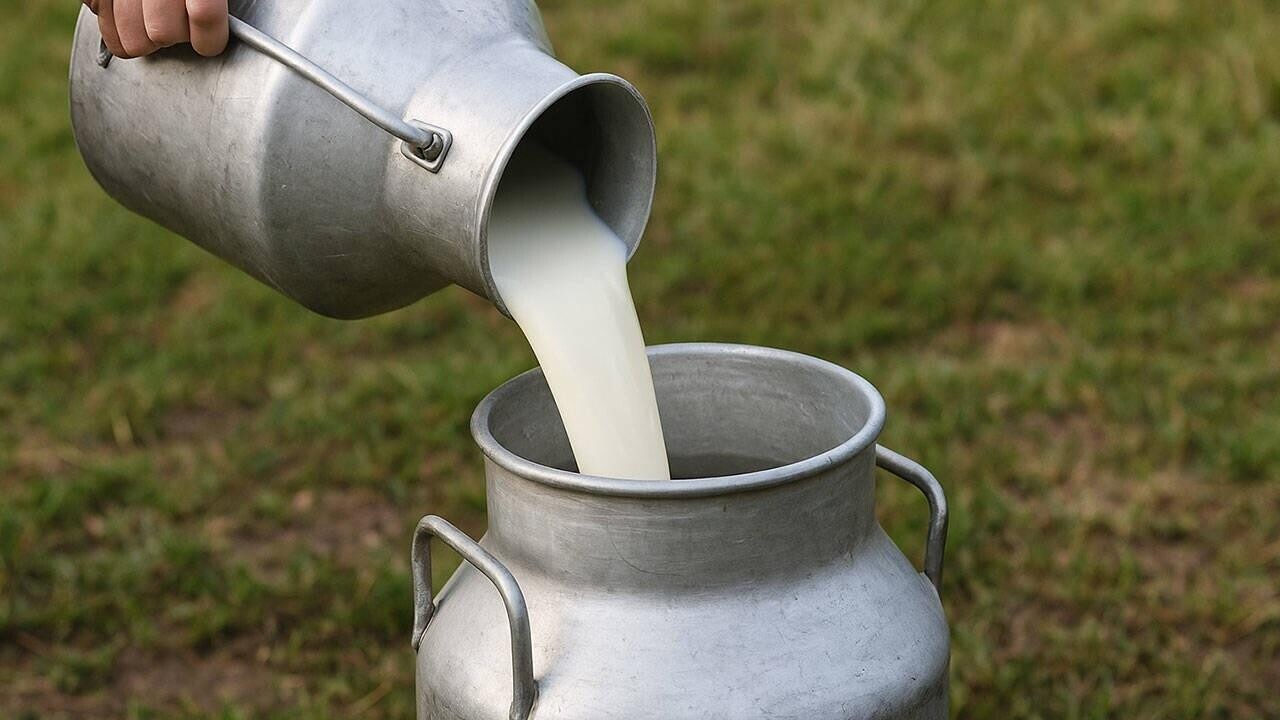 За прокисшее молоко с работников взыскали 18 000 рублей. Что случилось?