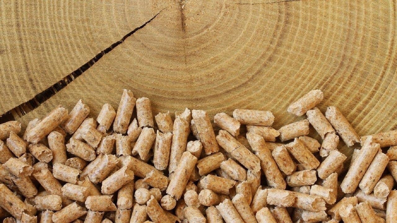 В Беларуси повысили отпускные цены на топливные пеллеты для части потребителей