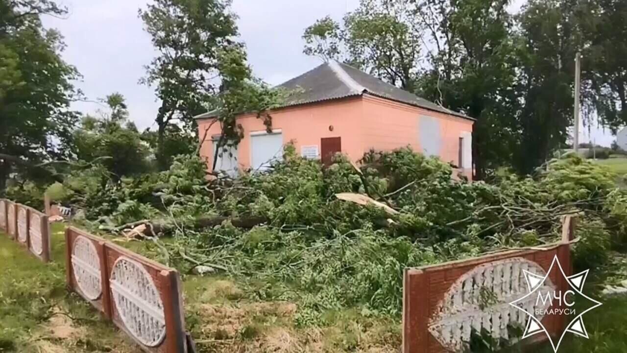 Поваленные деревья и поврежденные крыши: непогода прошлась по Гродненщине