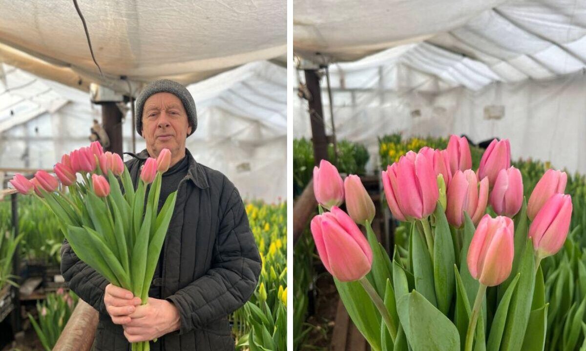 «В советское время почти заработал на “Жигули”». Пенсионер рассказал о своем цветочном бизнесе 