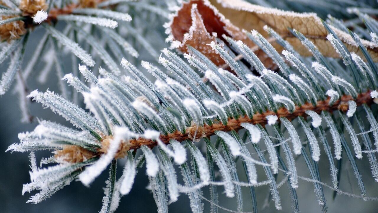 В Беларусь рвутся арктические холода. Что обещают синоптики на выходные?