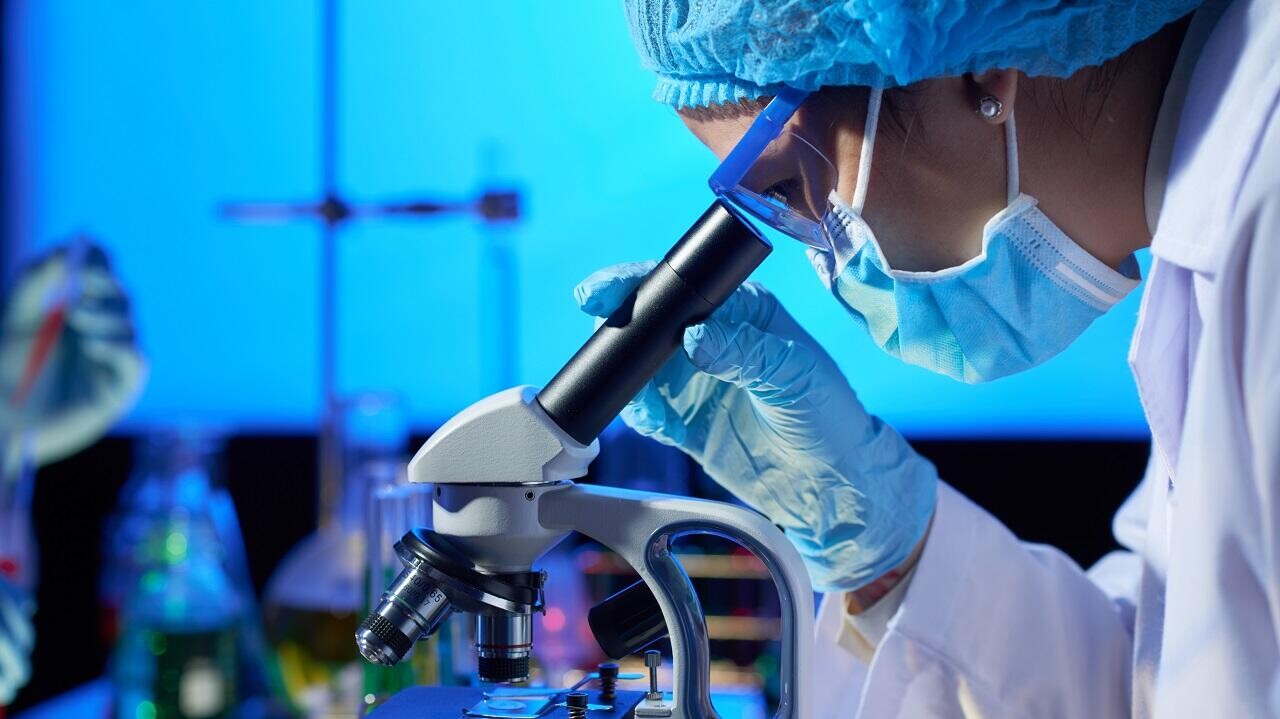 Белорусские ученые планируют начать клонирование домашних питомцев