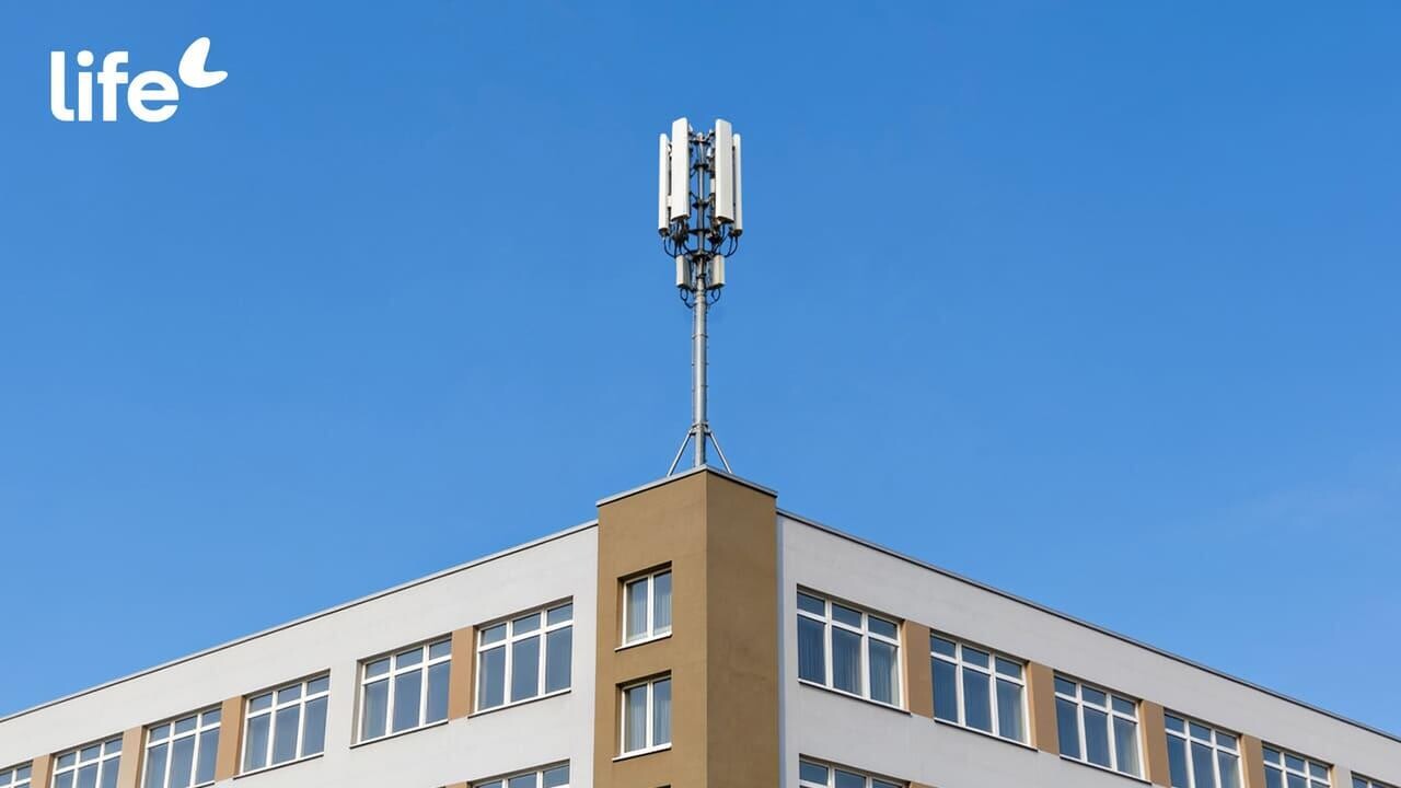 Life подготовился к учебному году: 5G — рядом с вузами, школами и общежитиями