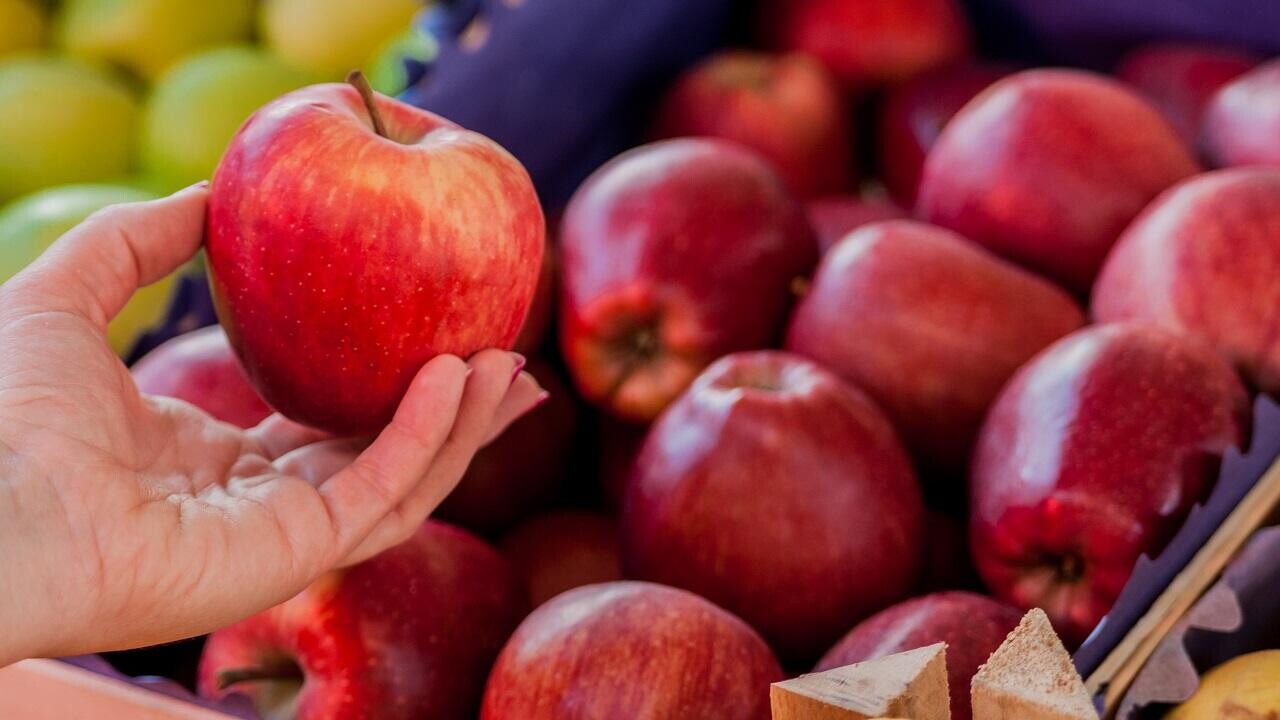 В Беларуси установили максимальные цены на овощи и яблоки для госзаказа