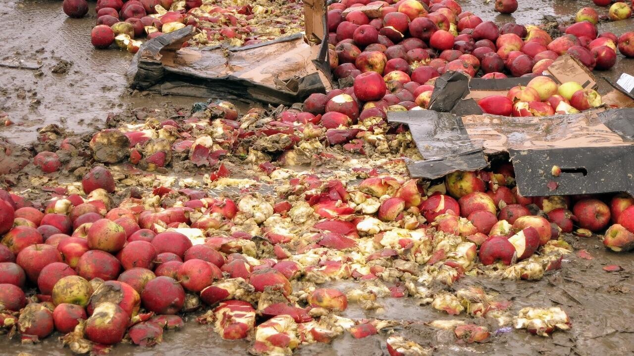 В России уничтожили фрукты и овощи, которые ввезли из Беларуси