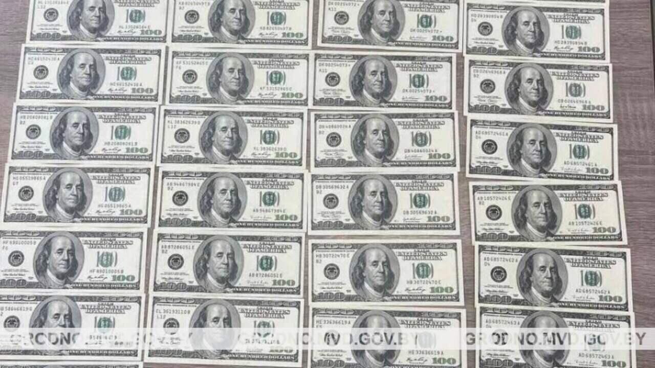 В Орше у парня изъяли 7 000 долларов: в чем дело