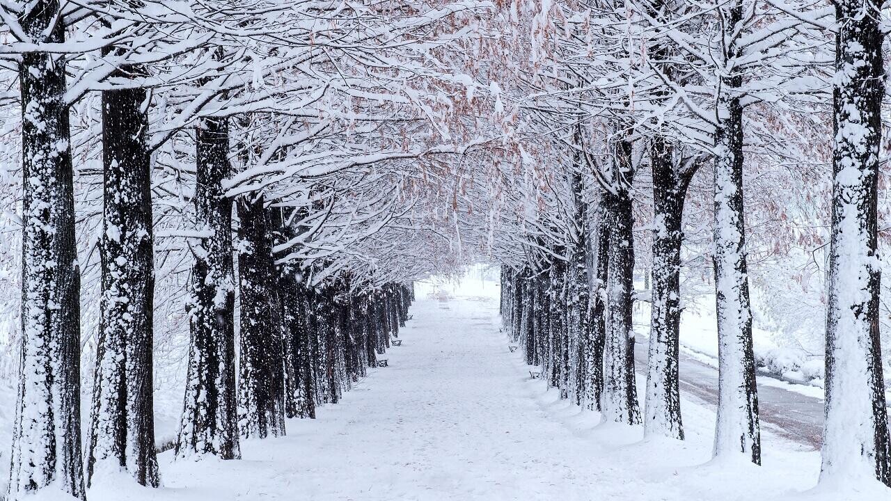 Отбой красной тревоги: Белгидромет снизил уровень опасности в пятницу до оранжевого