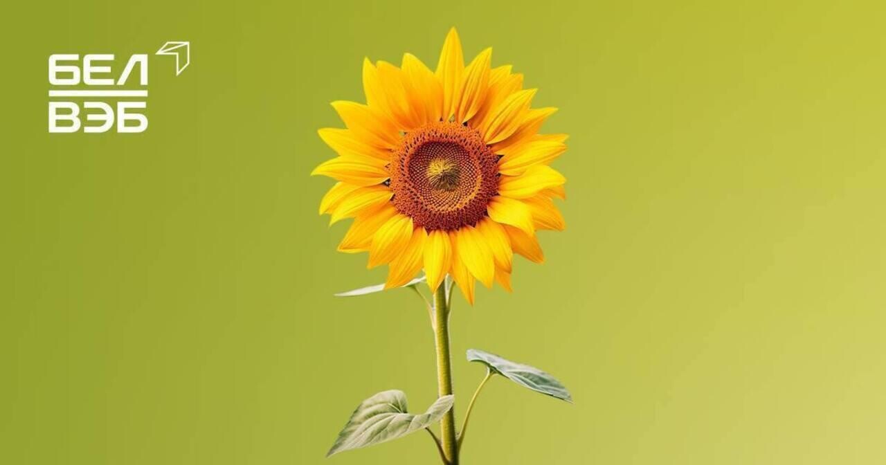 Банк БелВЭБ предлагает оформить вклады в BYN и иностранной валюте по выгодным ставкам