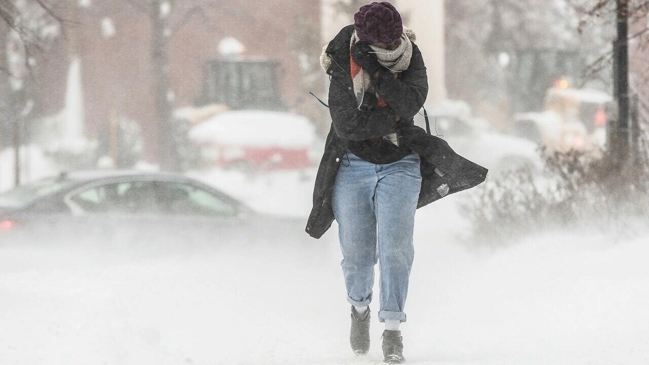 Метели возвращаются в Беларусь? Вот какой будет погода на выходных