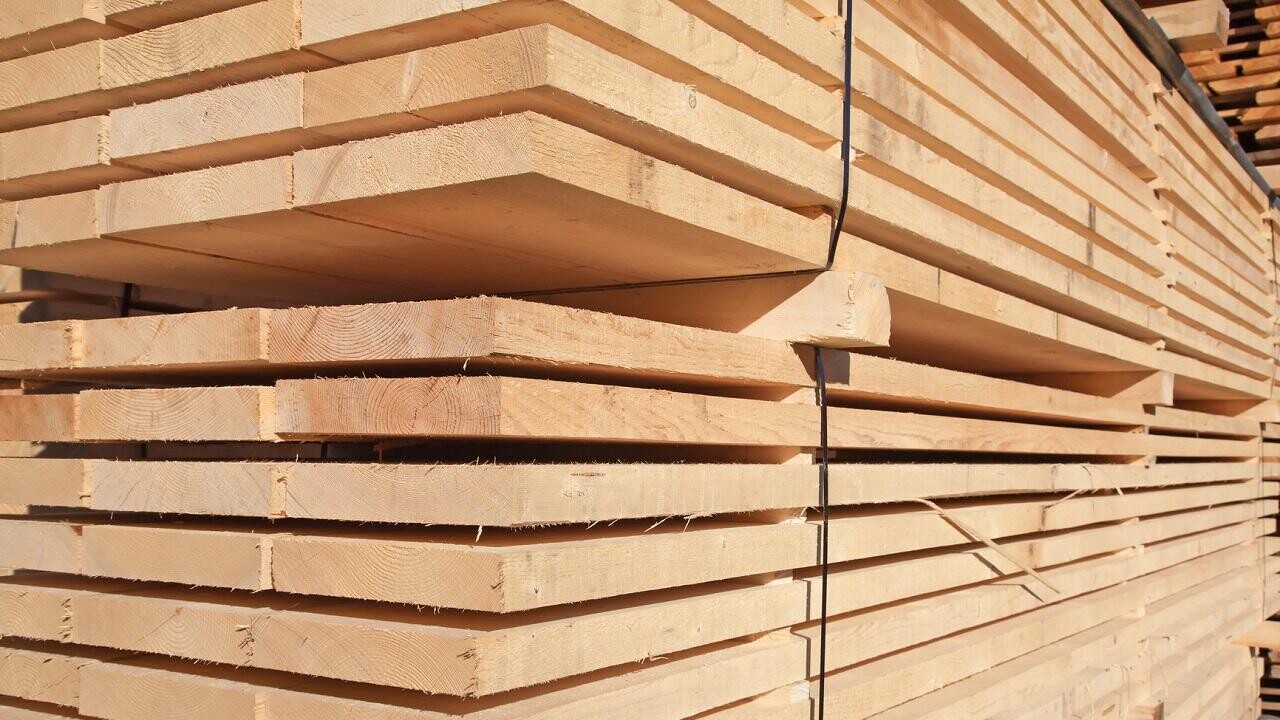 Крупный импортер пиломатериалов из Индии выходит на белорусскую биржу