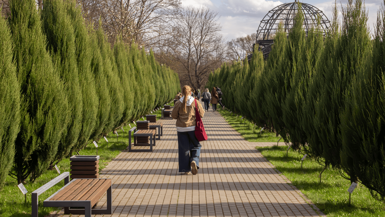 Когда в Беларуси снова большие выходные: полный список