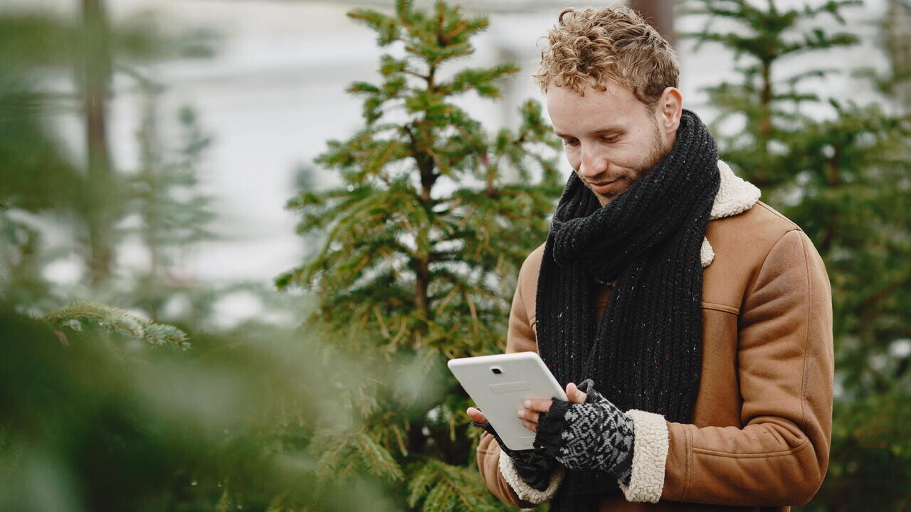 Лесхоз опубликовал список точек, где продаются ёлки по фиксированным ценам