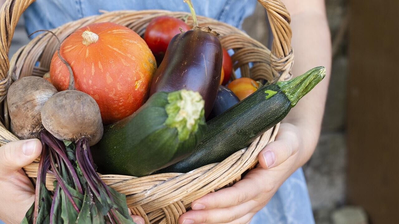 Стало известно, когда на Минщине стартуют осенние сельхозярмарки