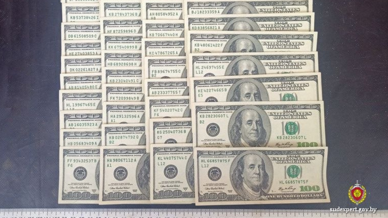 У белоруса изъяли более 12 тысяч долларов из-за одной купюры. Что случилось?