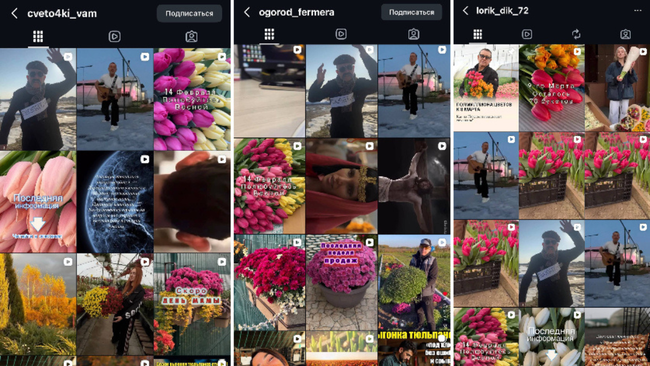 Два жителя Пинска заработали на тюльпанах 230 000 BYN. Но теперь следователи ищут пострадавших