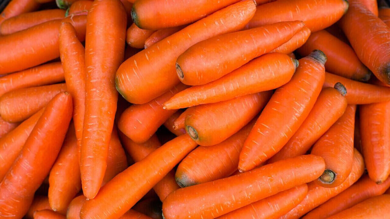 Россельхознадзор вернул в Беларусь крупную партию моркови