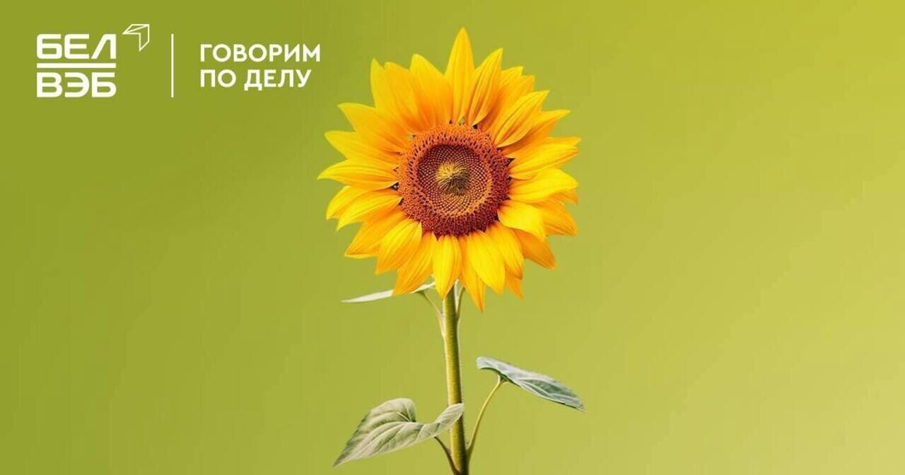 Банк БелВЭБ повысил ставку по вкладам в долларах до 1,1% годовых! 