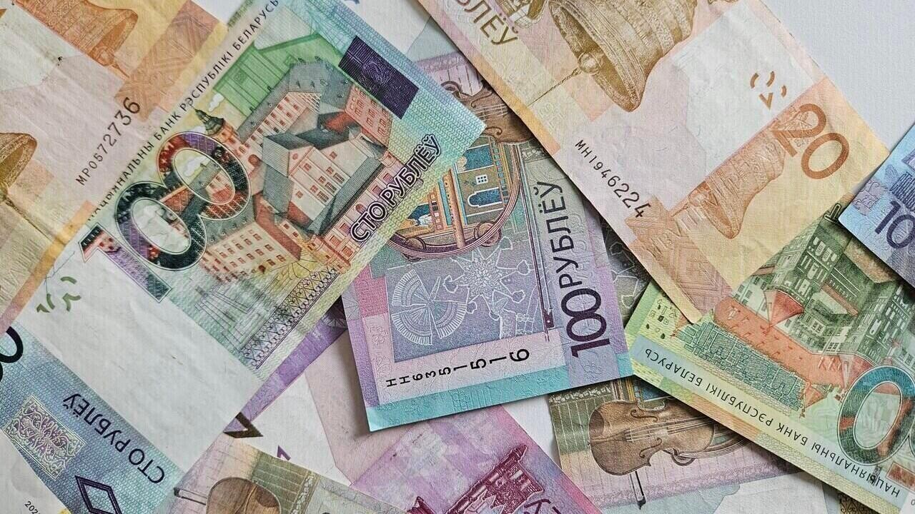 Гомельчанка закопала в сугробе 125 000 рублей – в чем причина?